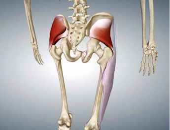 come avere glutei alti e sodi