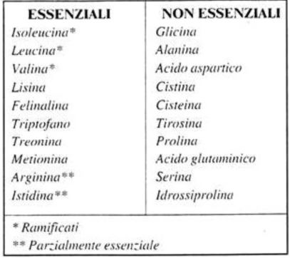 come assumere proteine in polvere