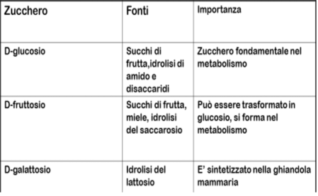 carboidrati fanno ingrassare